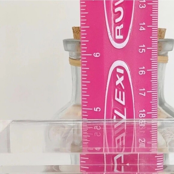 Florida Seashells in Glass Jar with cork Stopper NWOT Handmade Custom Gift - Picture 8 of 16